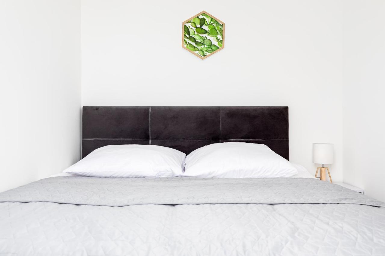 Przytulny Apartament 62 Centrum Szczecina 외부 사진